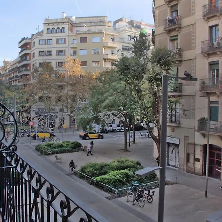 Sweet Bcn Borrell *