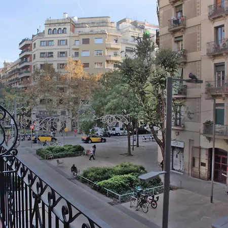 Sweet Bcn Borrell *