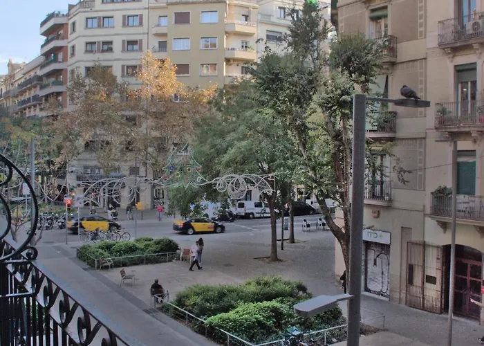 Sweet Bcn Borrell *